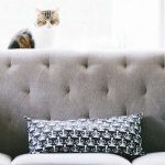 Modern home decor themes