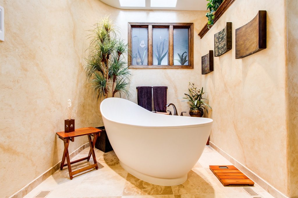 bathroom with luxury bathtub and plant